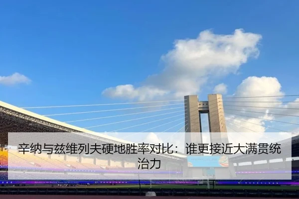 辛纳与兹维列夫硬地胜率对比：谁更接近大满贯统治力